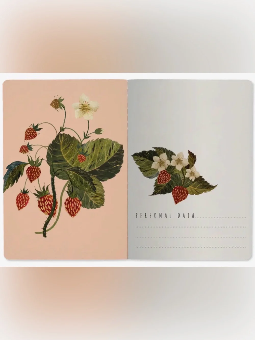 Bruno Visconti Soft Touch Wild Strawberries Notebook Journal A5 NEW